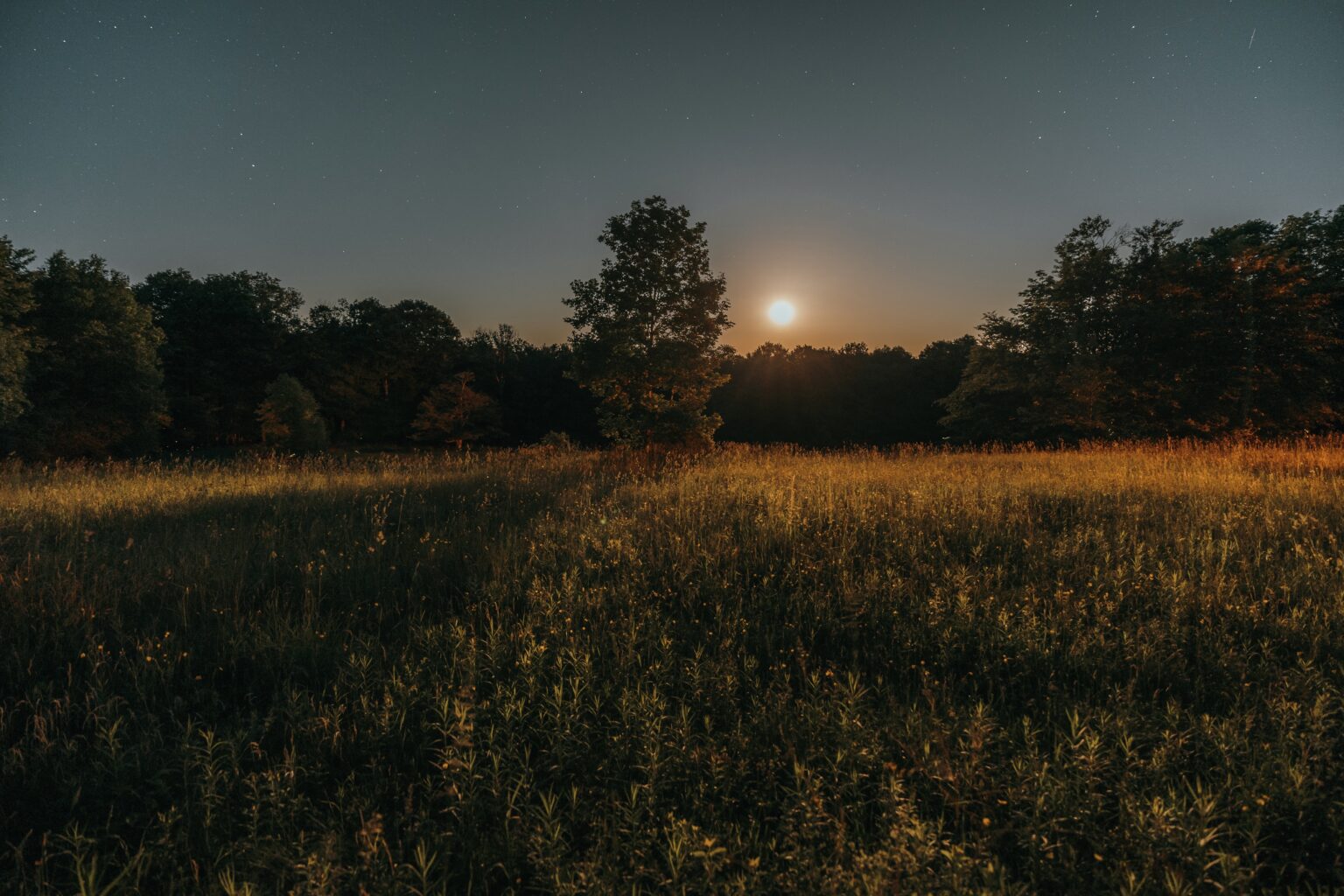 Full Moon June 2023 In Sagittarius Or Scorpio Joyce Mol full-moon-june-2023-in-sagittarius-or-scorpio-joyce-mol